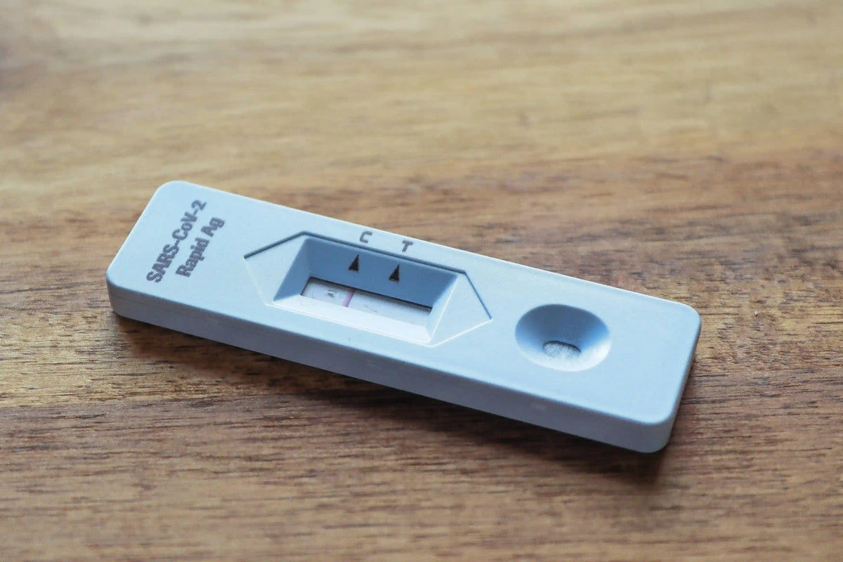 Pregnancy Test Kit Work